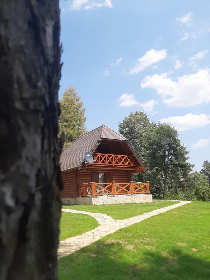Вилла Brvnare Park Borova Златибор Экстерьер фото