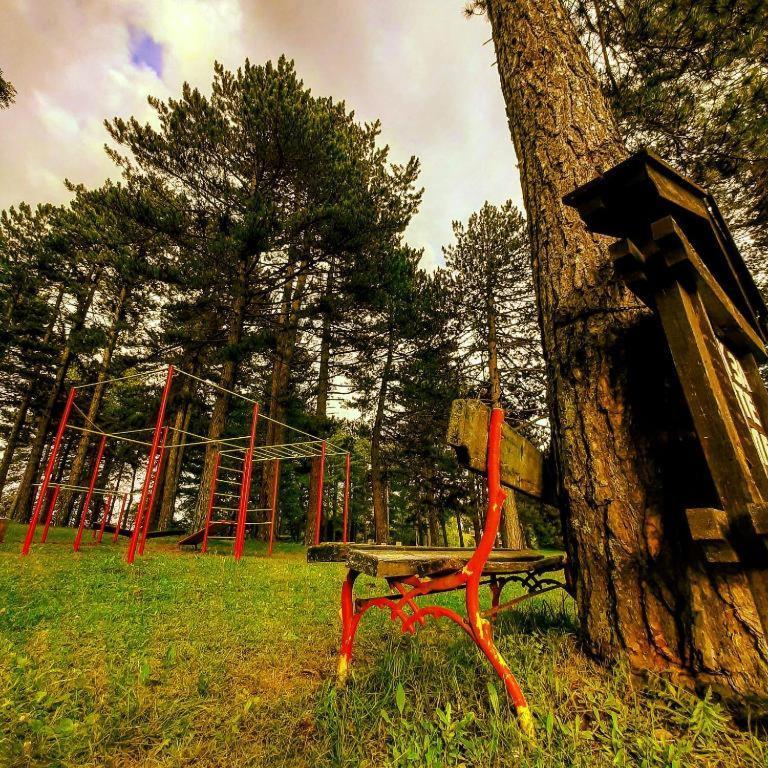 Вилла Brvnare Park Borova Златибор Экстерьер фото