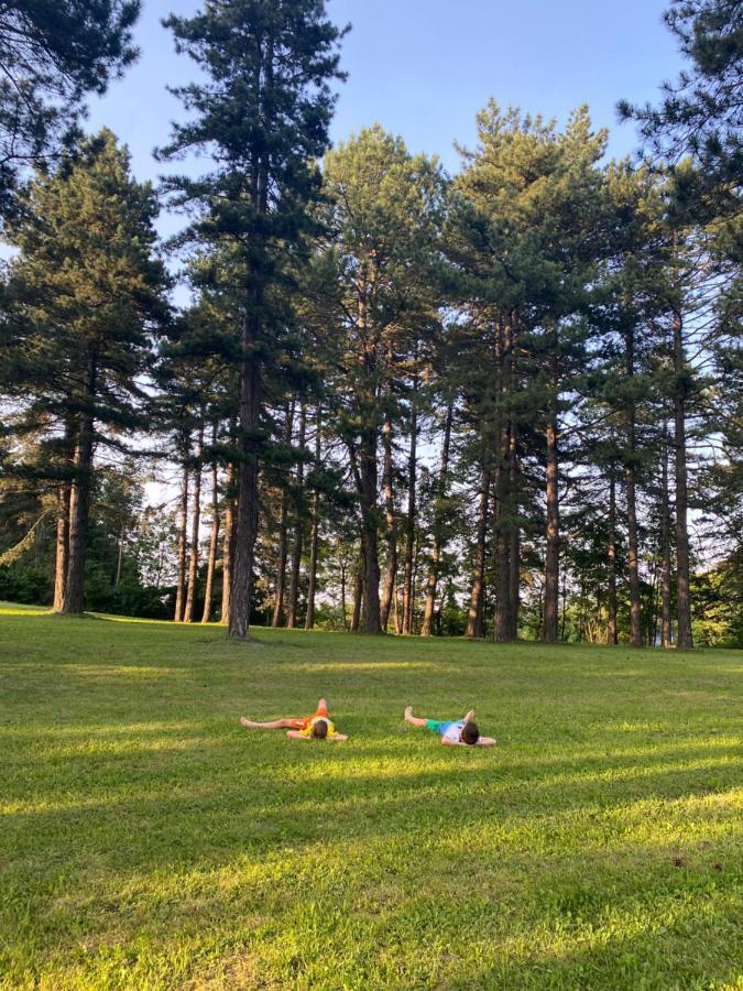 Вилла Brvnare Park Borova Златибор Экстерьер фото